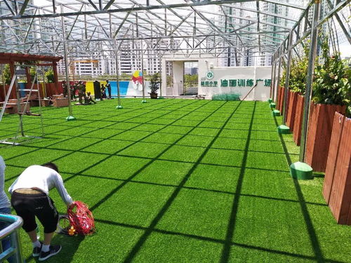 深圳仿真草坪植物墻花草綠植裝飾工廠直銷(xiāo)環(huán)保低碳上門(mén)安裝