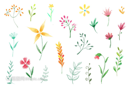 手繪花卉與苗木種植 藝術與自然的和諧共生